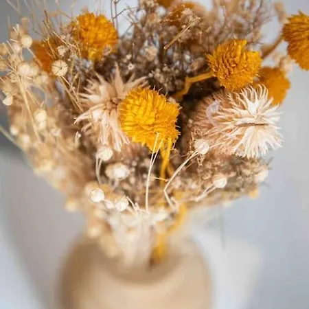 Cosy, Neuf, Hyper Centre * Brantôme