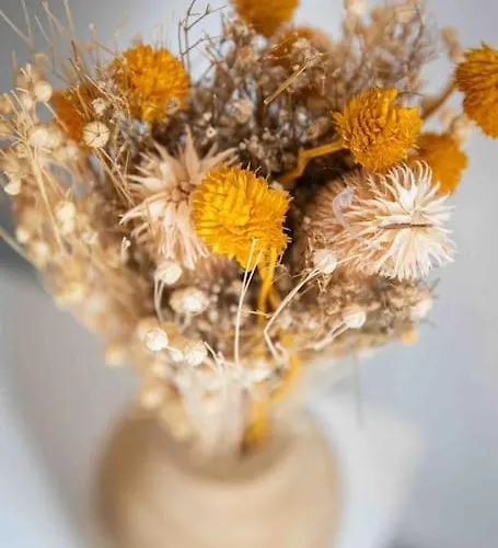 Cosy, Neuf, Hyper Centre * Brantôme